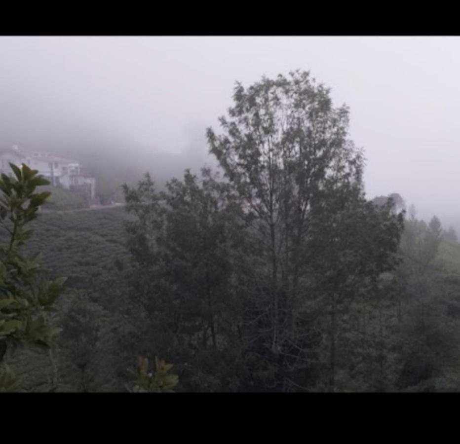 The Valley Villa Kotagiri Eksteriør billede